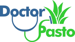 Doctor Pasto Instalación de pasto palmeta